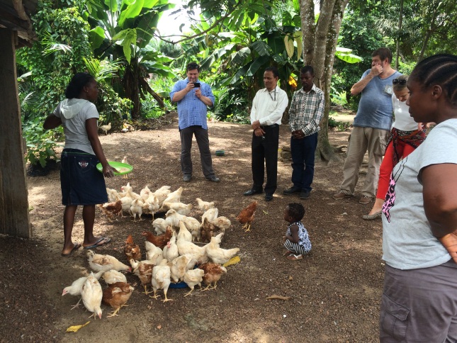 eu-visit-liberia-poultry